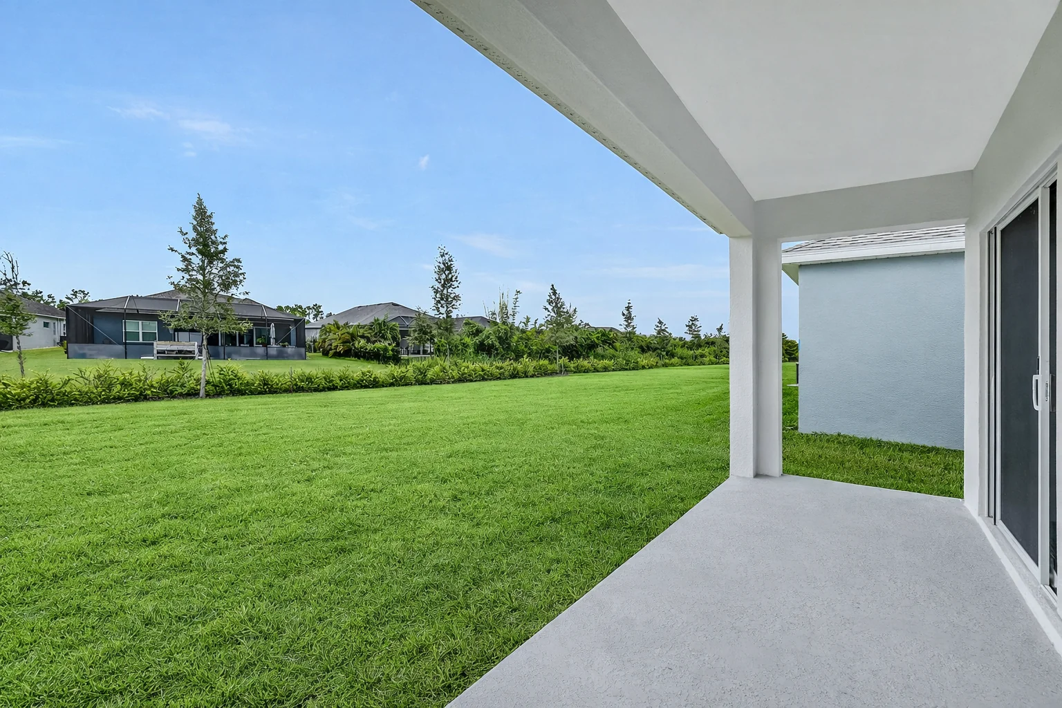 Maple — image 7